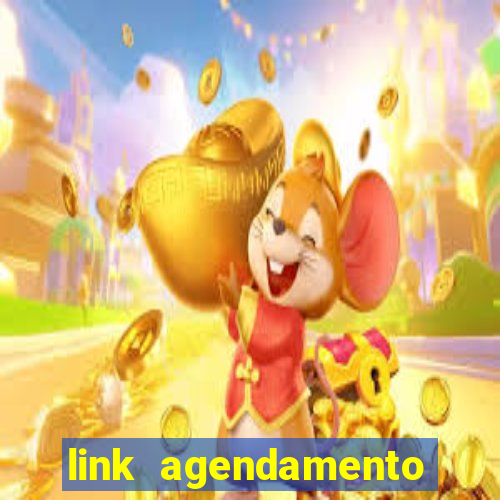 link agendamento bazar taco